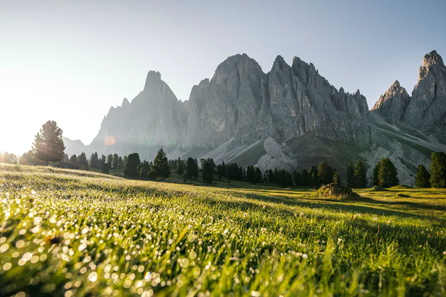 Pohled na Dolomity ze zelené louky pokryté rosou