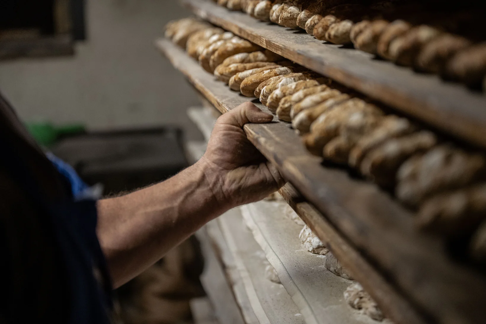 Click here to watch the video presenting the sustainable destination Partschins. The video features interviews with various sustainable businesses, such as the Oberbrunnhof Farm and the beekeepers’ association, who explain how they help make Partschins more sustainable.